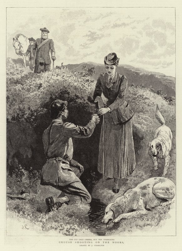 Rypeskydning på maurerne af John Charlton