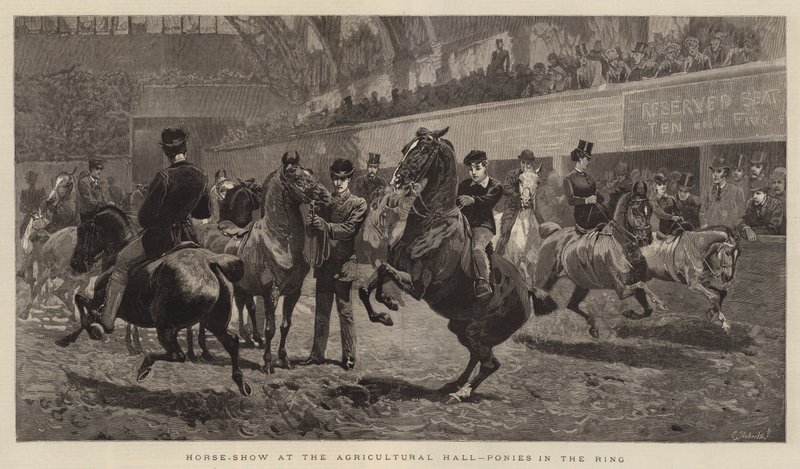 Horse-Show på Landbrugshallen, Ponyer i Ringen af John Charlton