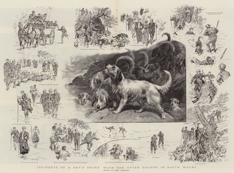 Hændelser af en dags sport med Otter Hounds i det sydlige Wales af John Charlton