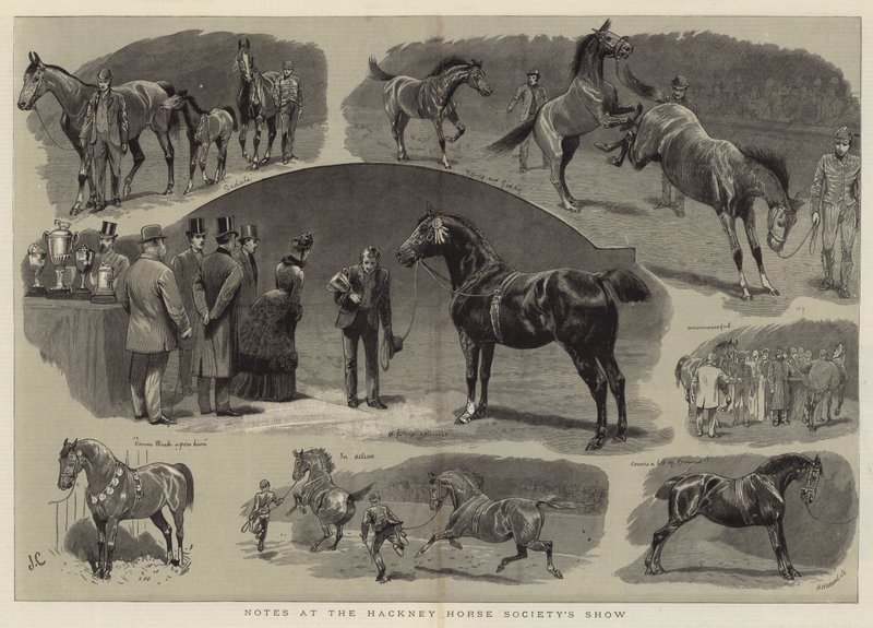 Noter ved Hackney Horse Society Show af John Charlton