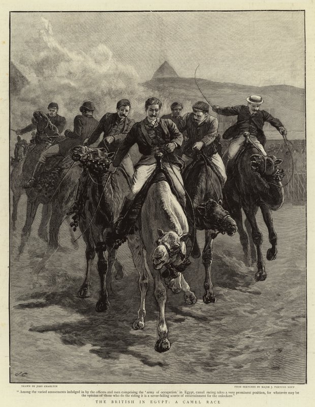 Briterne i Egypten, A Camel Race af John Charlton