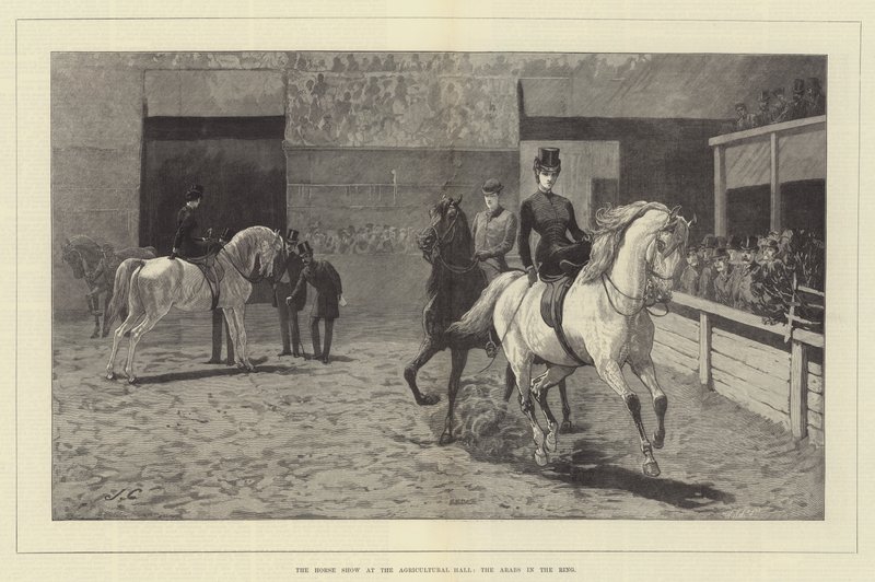 Hesteskuet ved Landbrugshallen, Araberne i Ringen af John Charlton
