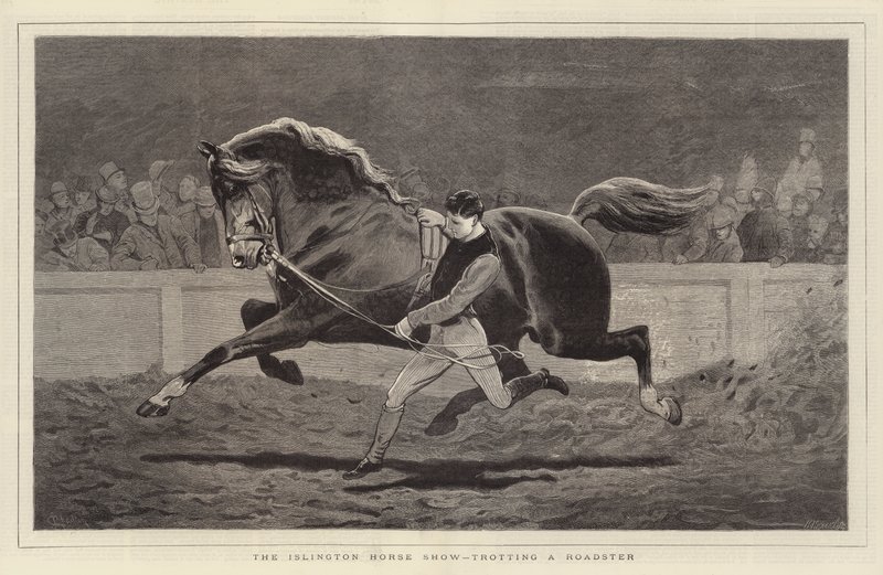 Islington Horse Show, der traver en Roadster af John Charlton