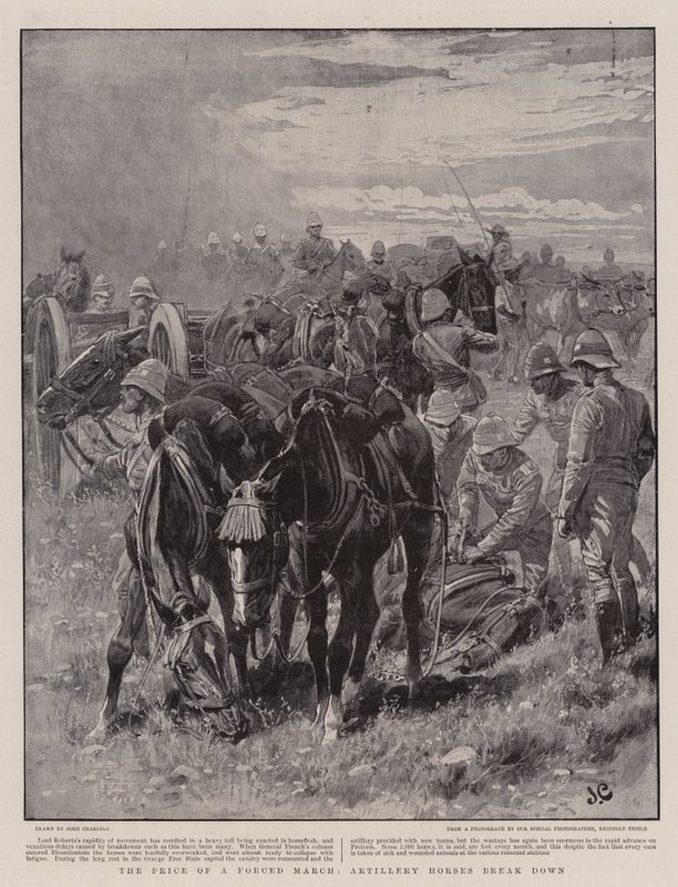 Prisen for en tvungen march, artilleriheste bryder sammen af John Charlton