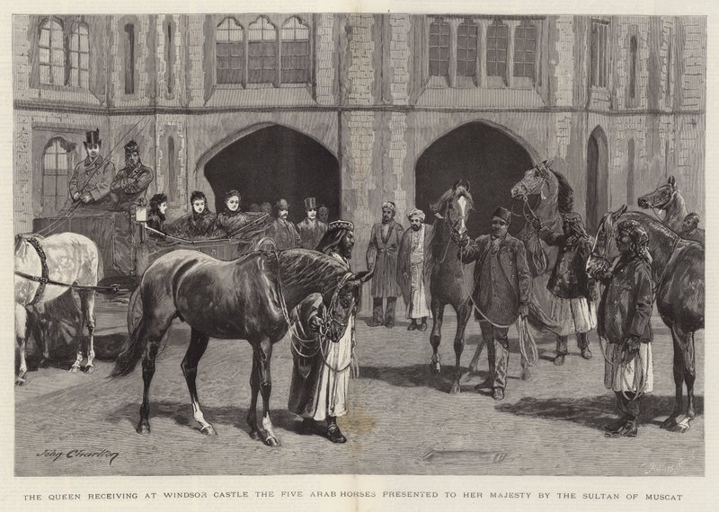 Dronningen modtager på Windsor Castle de fem arabiske heste overrakt til hendes majestæt af sultanen af Muscat af John Charlton