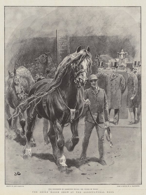 The Shire Horse Show på Landbrugshallen af John Charlton