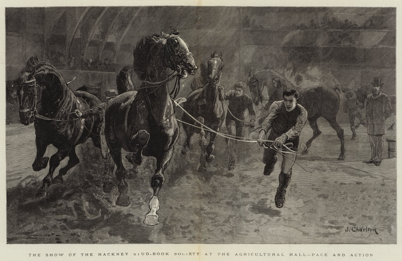 The Show of the Hackney Stud-Book Society på Agricultural Hall, Pace and Action af John Charlton