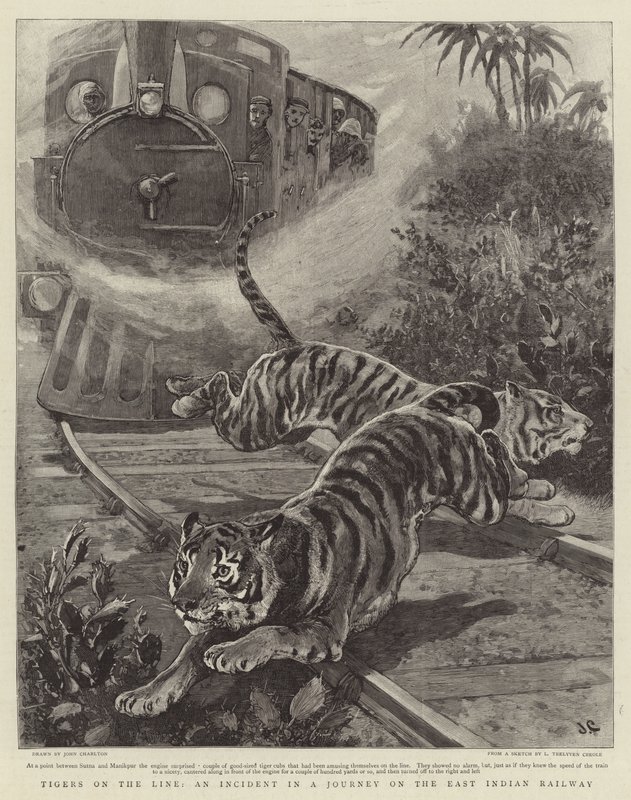Tigre on the Line, en hændelse i en rejse på den østindiske jernbane af John Charlton