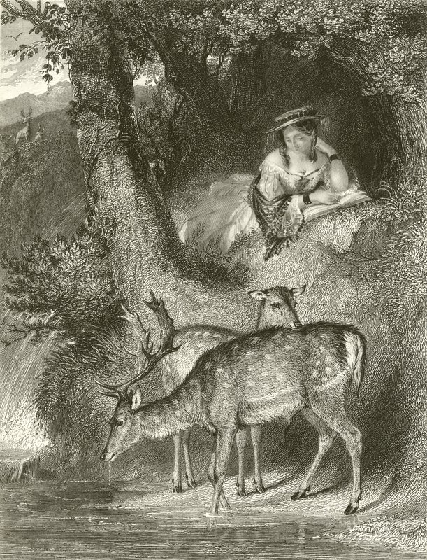 Bjerg ensomhed af John Corbould