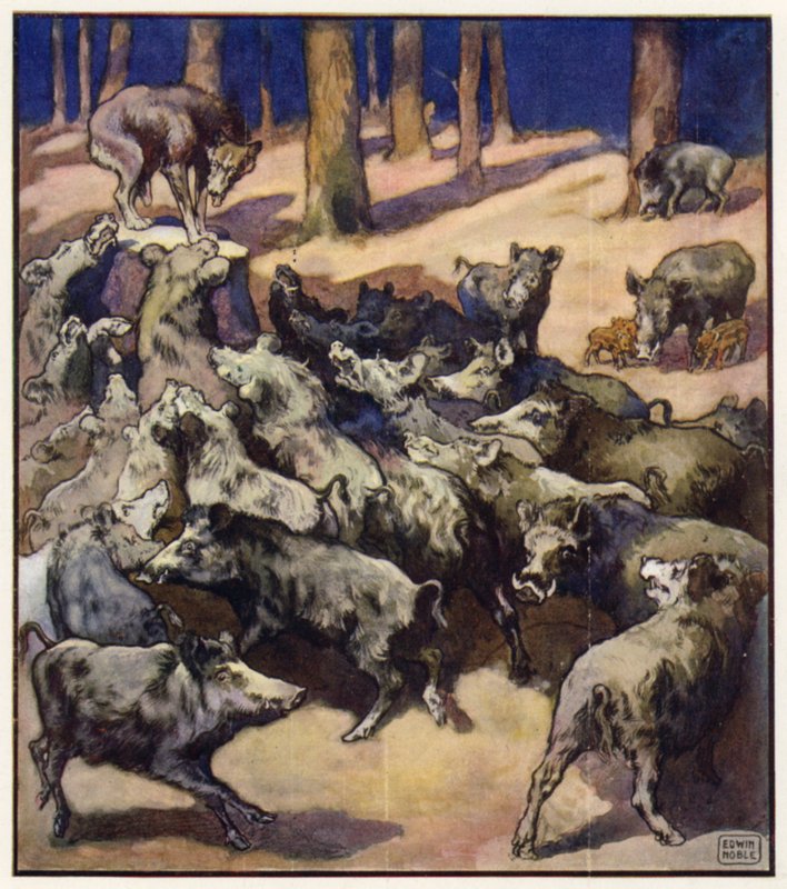 I midten af stubben stod en stor grå ulv (farve litho) af John Edwin Noble