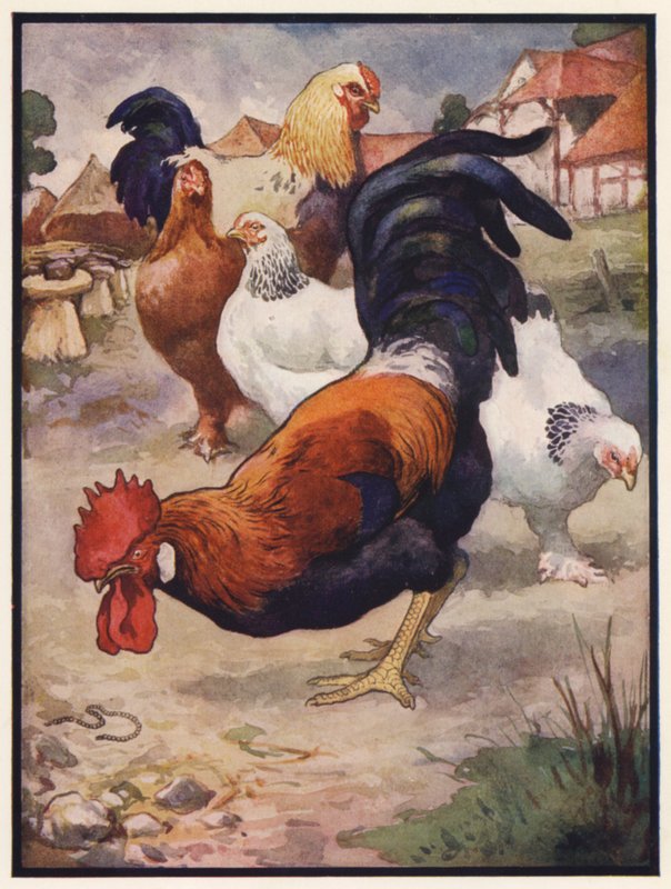 Hanen og juvelen (farve litho) af John Edwin Noble