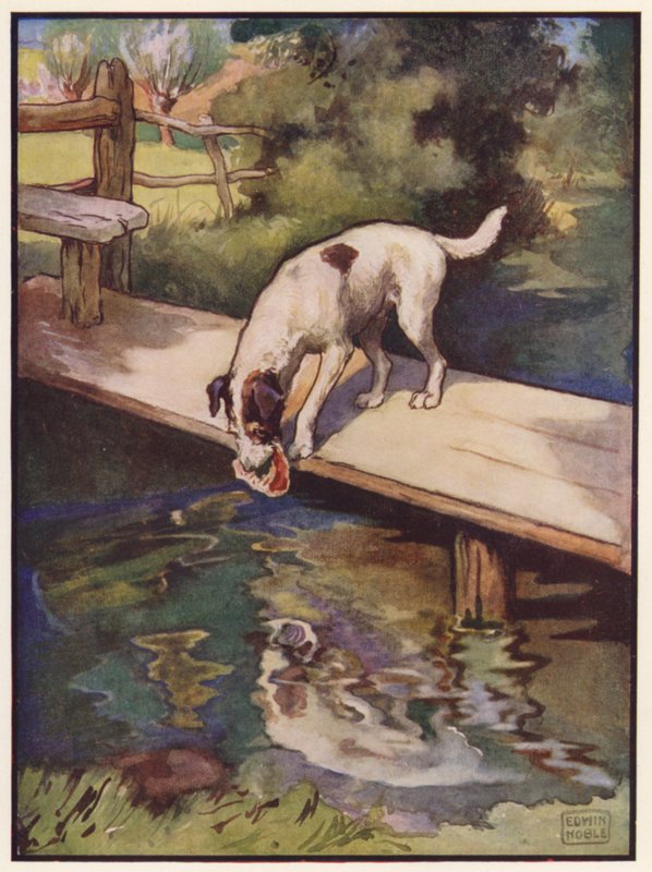 Hunden og skyggen (farve litho) af John Edwin Noble