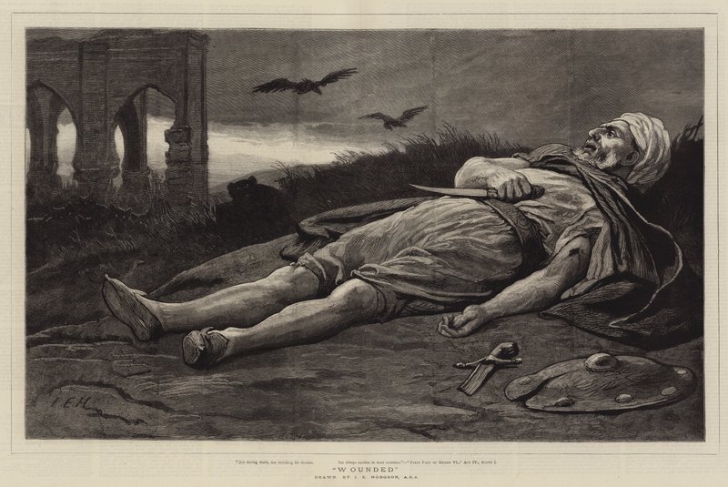 Sårede af John Evan Hodgson