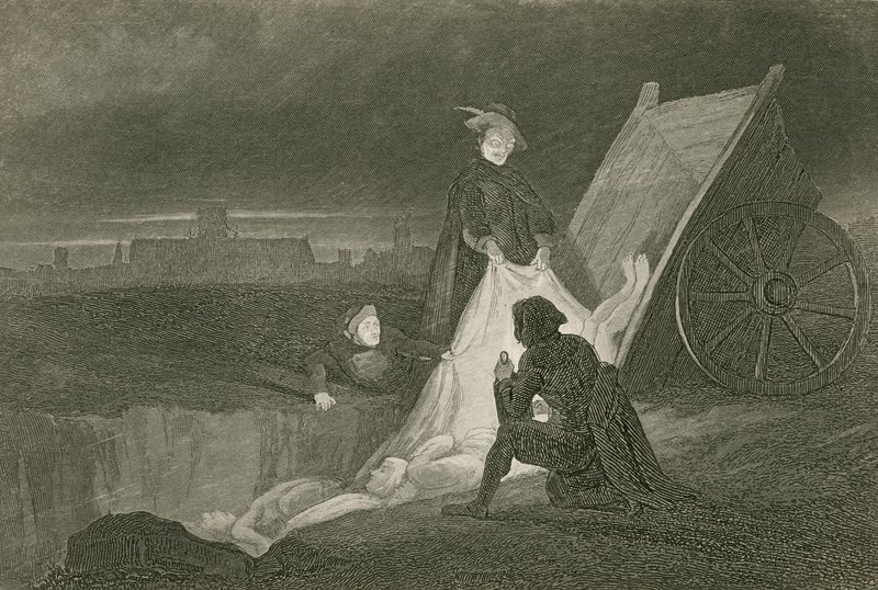 Pestgraven af John Franklin