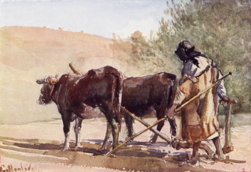 Pløjning på Oliebjerget (farve litho) af John Fulleylove