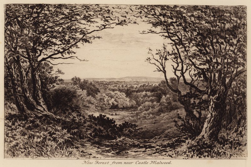 New Forest fra nærheden af Castle Malwood (gravering) af John Fullwood