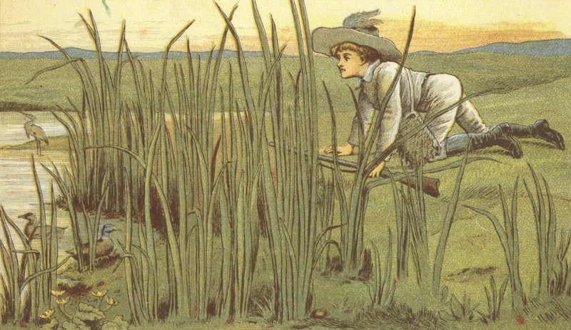 Andeskydning (farve litho) af John George (after) Sowerby