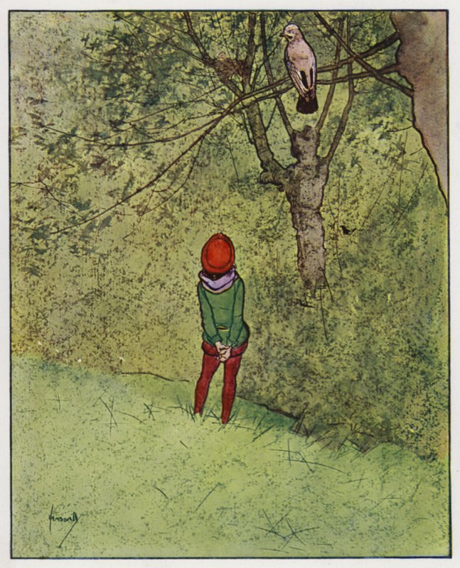 Jay (farve litho) af John Hassall