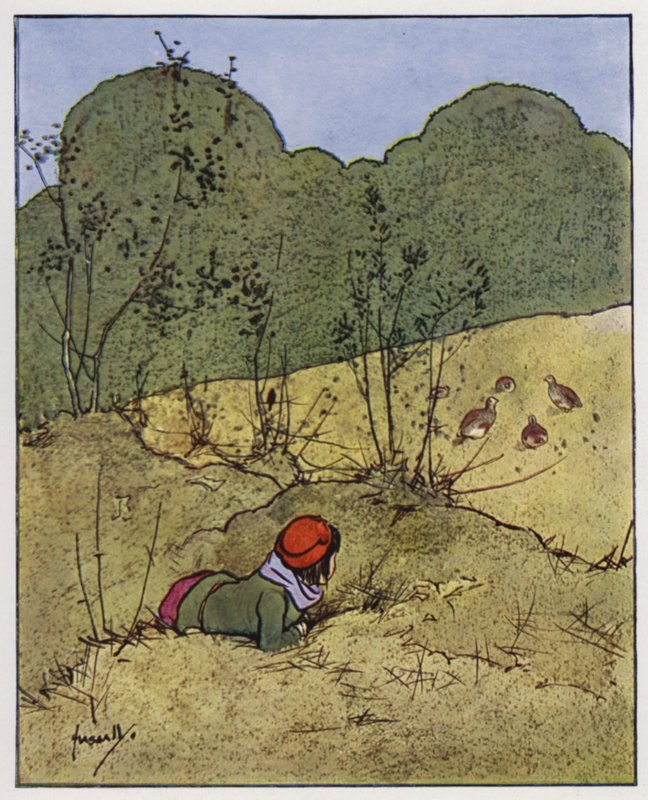 Agerhønen (farve litho) af John Hassall