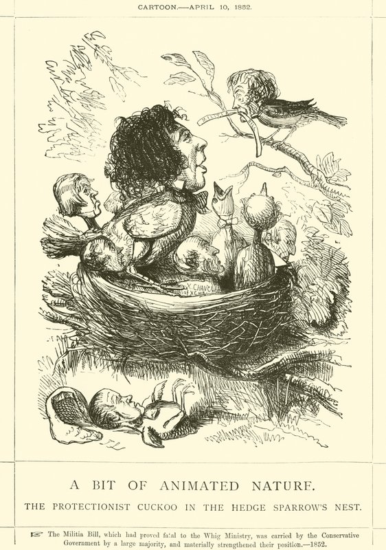 En smule animeret natur, den protektionistiske gøg i Hækkespurvereden af John Leech