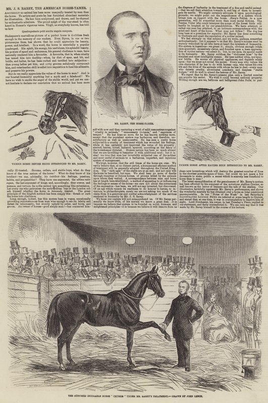 Mr J S Rarey, den amerikanske hestetæmmer af John Leech