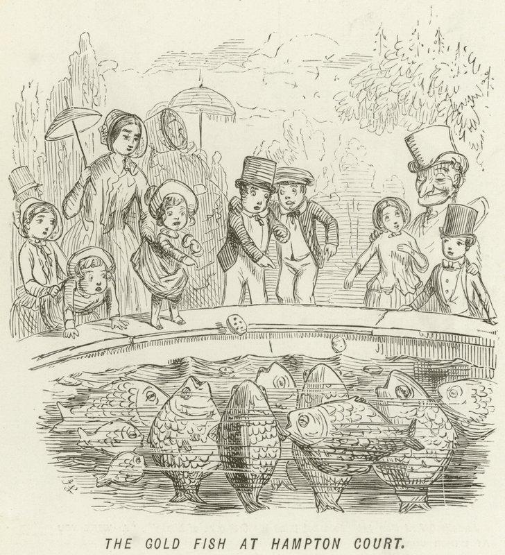 Guldfisken ved Hampton Court af John Leech