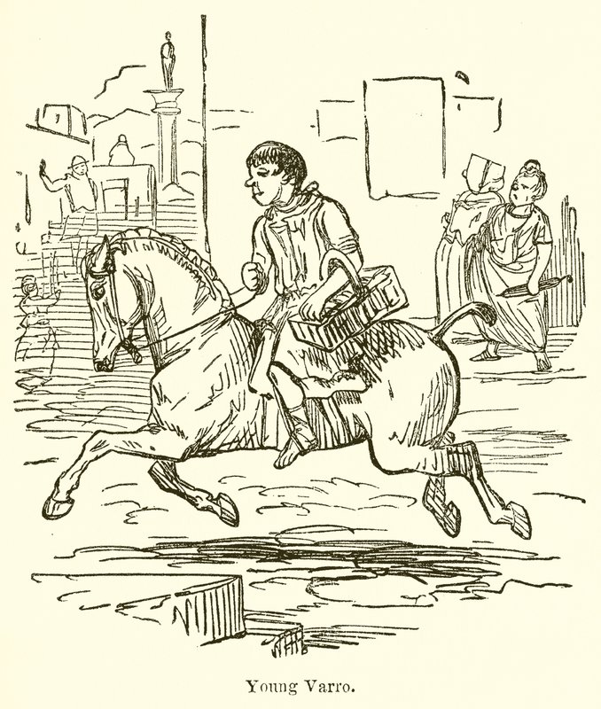 Unge Varro af John Leech