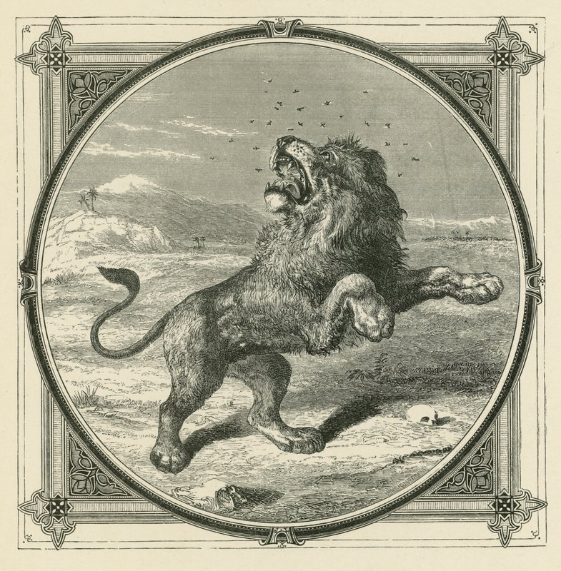Myggen stikker løvens øjne (gravering) af John Leighton
