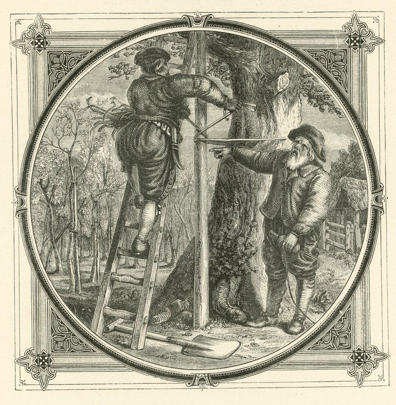 Grenene kan trænes, men ikke stammen (gravering) af John Leighton