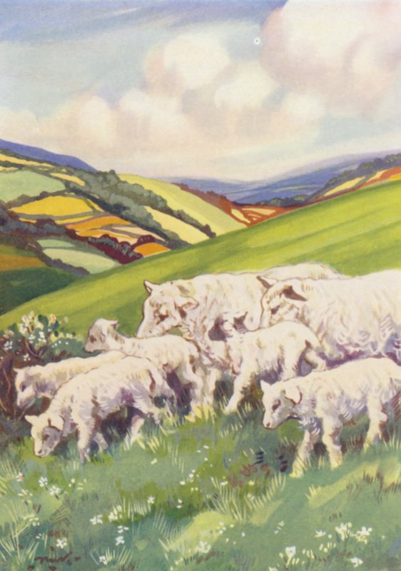 Illustration til Beautiful Joe af Marshall Saunders (farvelitografi) af John Nicholson