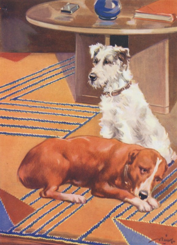 Illustration til Beautiful Joe af Marshall Saunders (farvelitografi) af John Nicholson