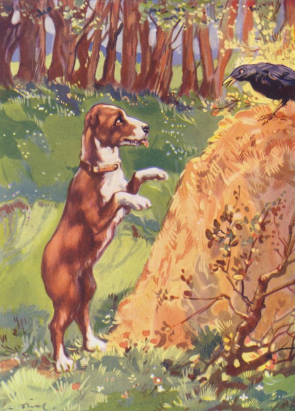 Illustration til Beautiful Joe af Marshall Saunders (farvelitografi) af John Nicholson
