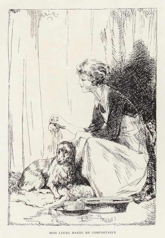 Illustration til Beautiful Joe af Marshall Saunders (litografi) af John Nicholson