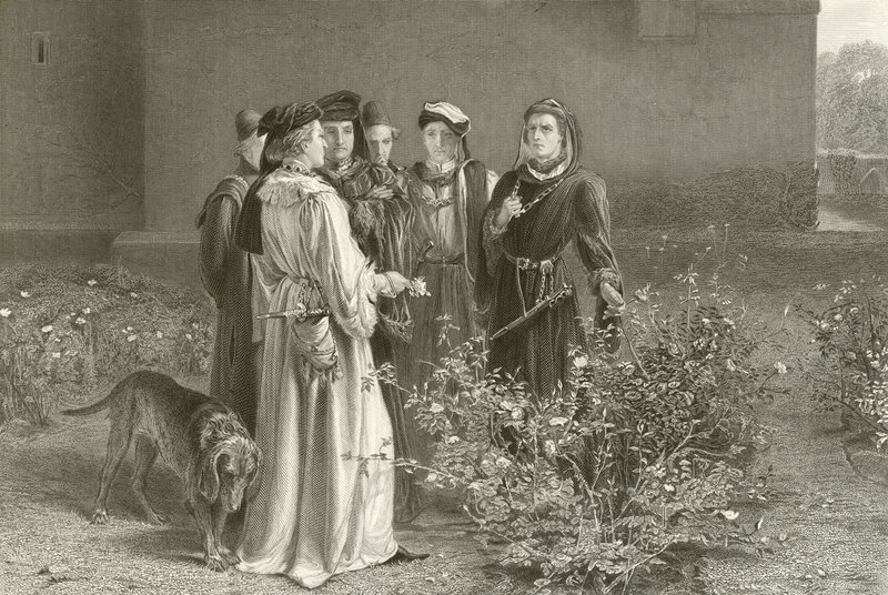 De rivaliserende roser af John Pettie