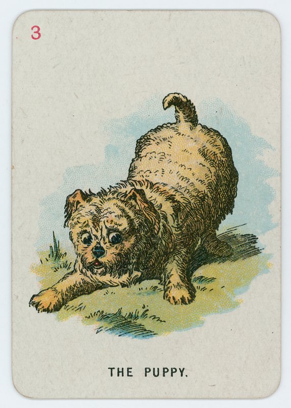 Hvalpen af John Tenniel