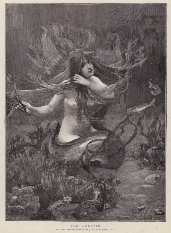 Havfruen (litho) af John William (after) Waterhouse