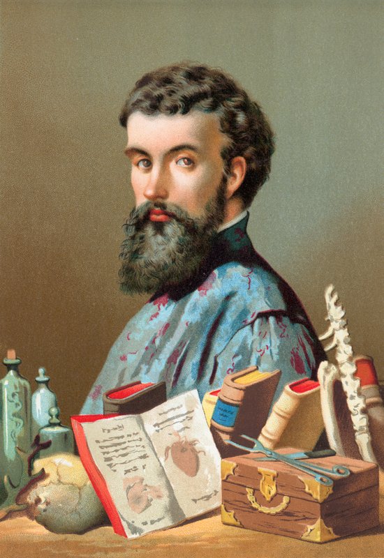 Andreas Vesalius af Jose Armet Portanell