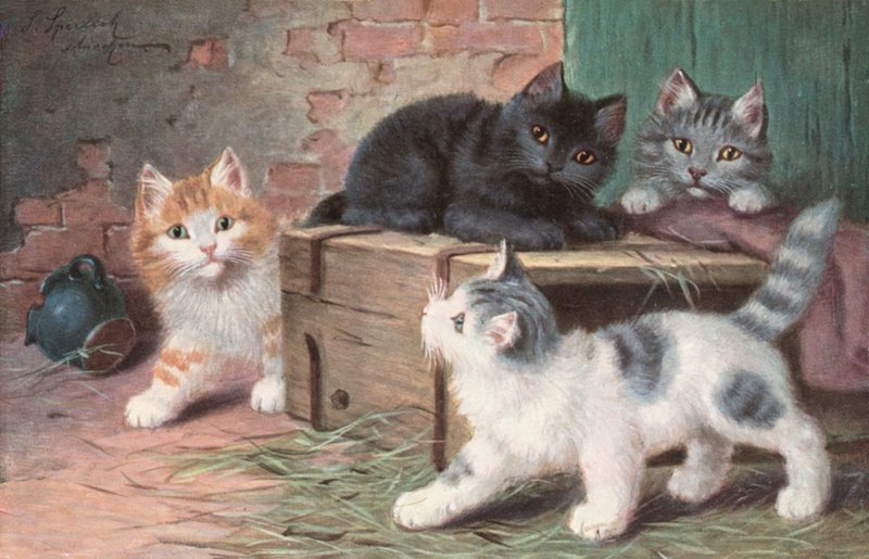 Postkort med kat (farvelitografi) af Josef Sperlich