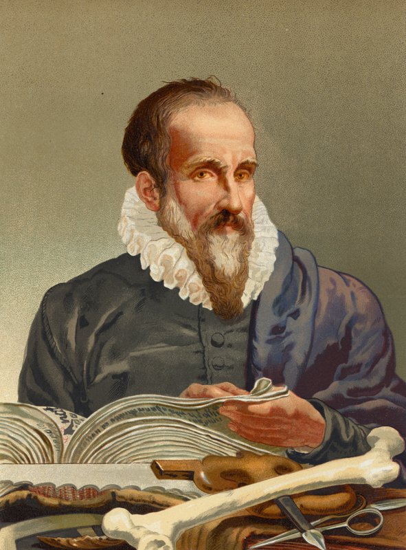 Ambroise Pare af Josep or Jose Planella Coromina