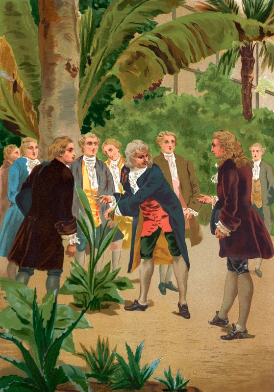 Carl Linné af Josep or Jose Planella Coromina