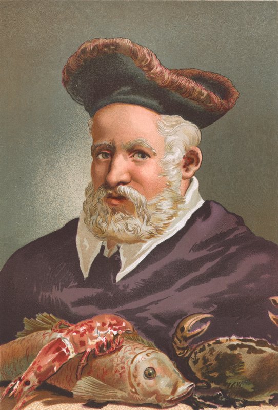 Guillaume Rondelet af Josep or Jose Planella Coromina