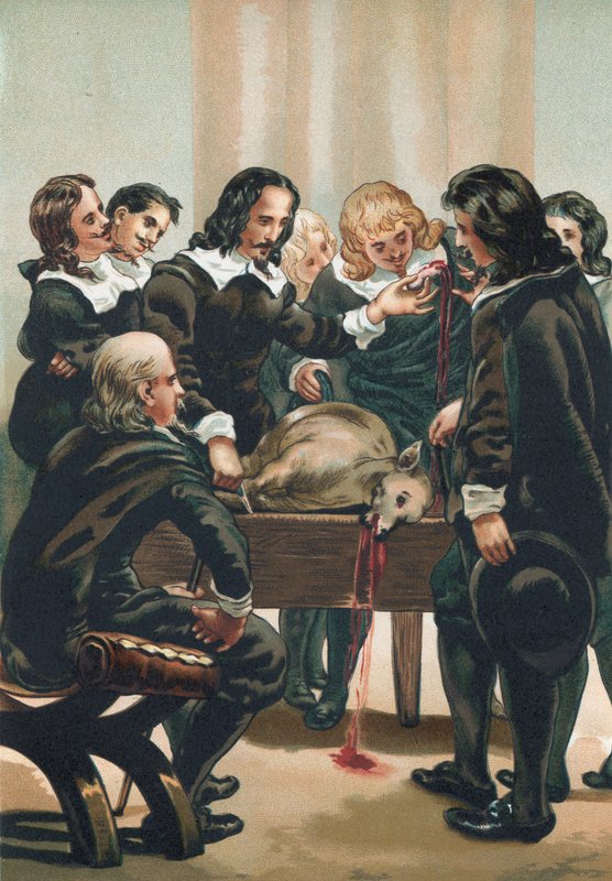 William Harvey demonstrerer blodets cirkulation af Josep or Jose Planella Coromina