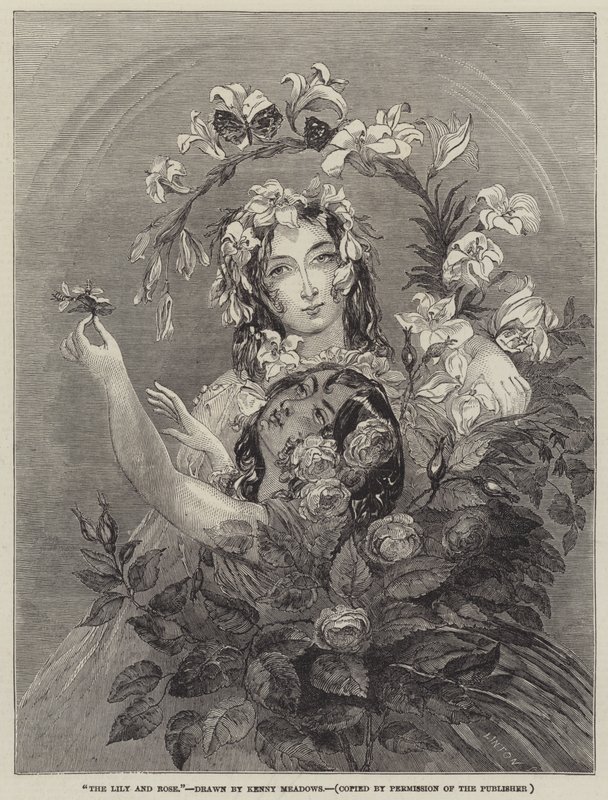 Liljen og rosen af Joseph Kenny Meadows