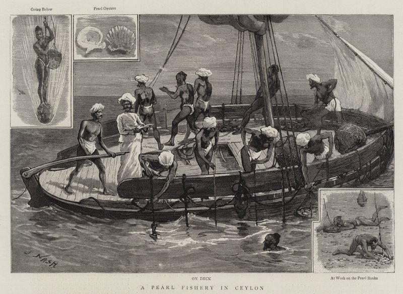 Et perlefiskeri i Ceylon af Joseph Nash