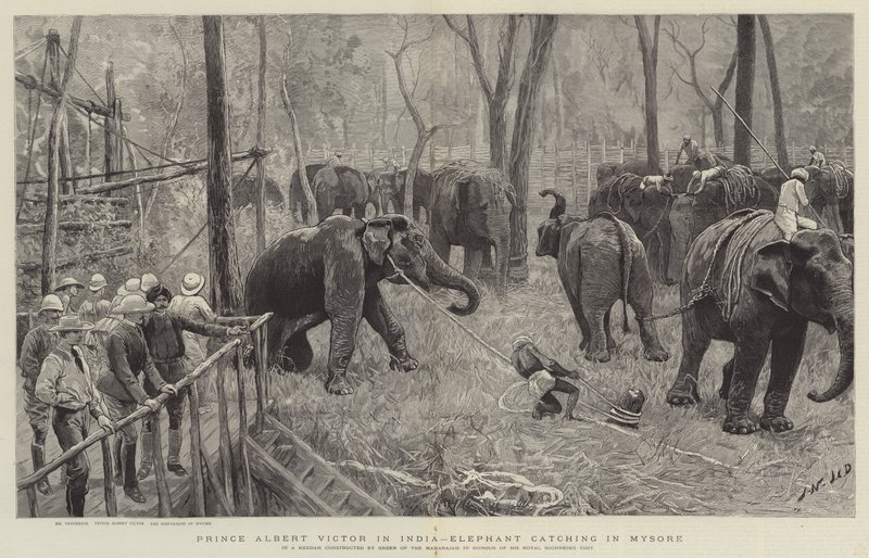 Prins Albert Victor i Indien af Joseph Nash