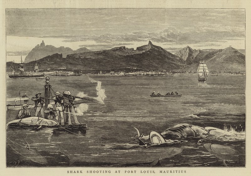 Hajskydning ved Port Louis, Mauritius af Joseph Nash