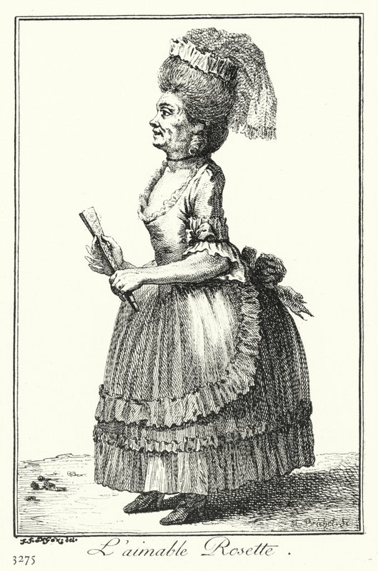 Den dejlige roset (gravering) af Joseph Franz von (after) Goez