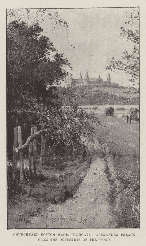 Churchyard Bottom Wood, Highgate, Alexandra Palace fra udkanten af skoven af Joseph Holland Tringham