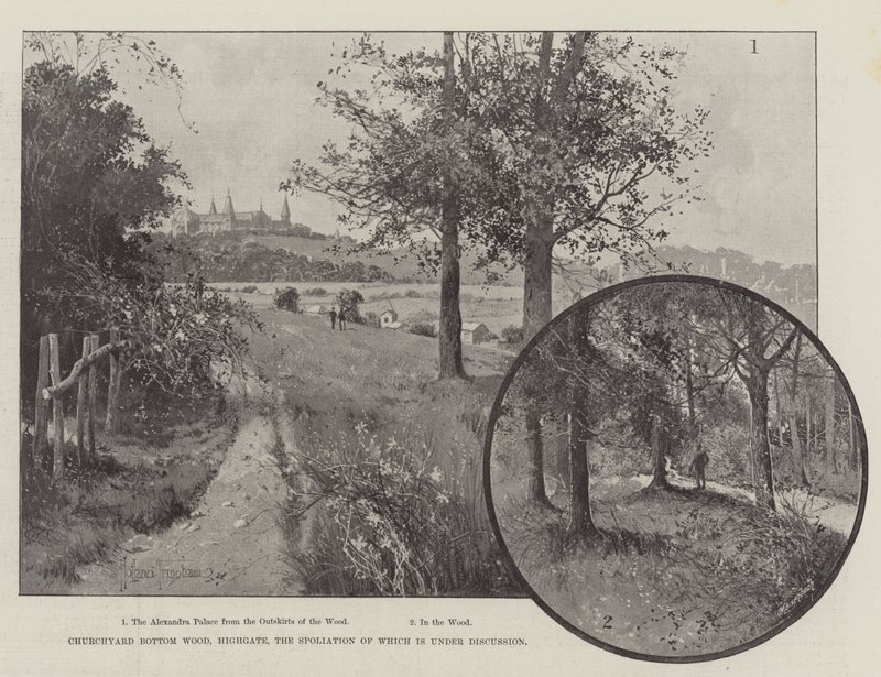 Kirkegården Bottom Wood, Highgate, hvis ødelæggelse er til diskussion af Joseph Holland Tringham