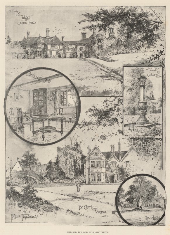 Selborne, Gilbert Whites hjem af Joseph Holland Tringham